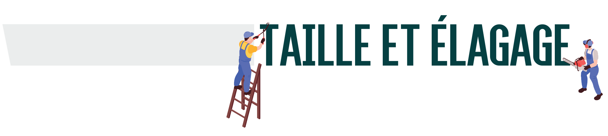 Taille et élagage Parc et jardin