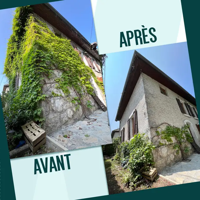 Façade avant et après enlèvement du lierre