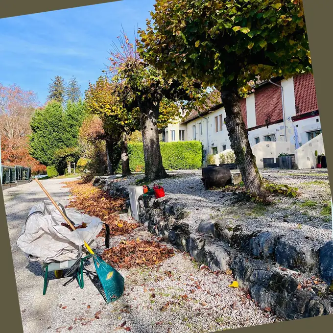 Ramassage des feuilles mortes en automne dans un jardin annécien