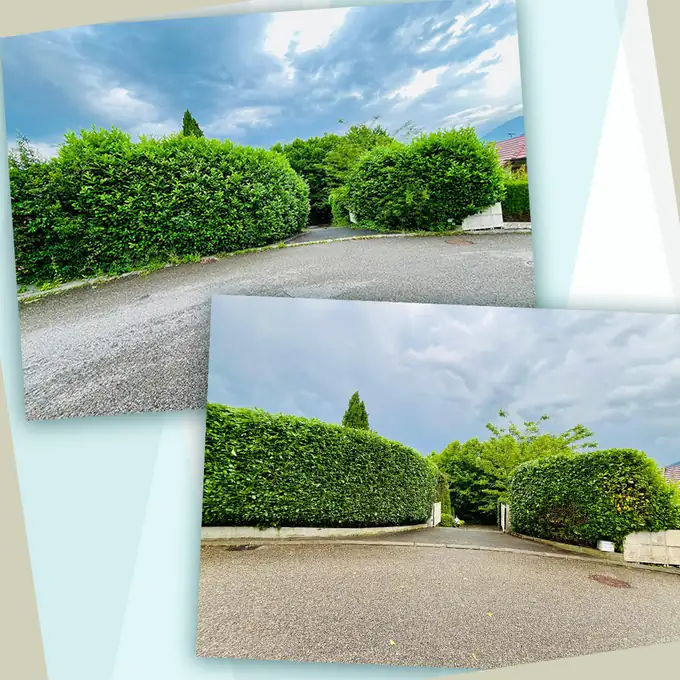 Haies taillées au cordeau par M Ma Maison, jardinier à Annecy